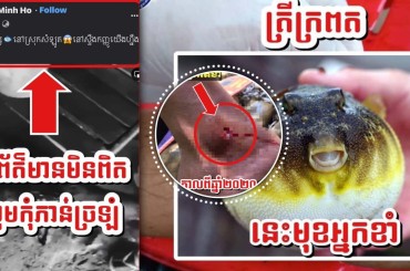 ស្នងការដ្ឋាននគរបាលខេត្តបាត់ដំបងបំភ្លឺព័ត៌មានទាក់ទងនឹងសត្វក្រពតខាំបុរសម្នាក់ចុះក្នុងទឹកនៅស្រុកសំឡូត​ ខេត្តបាត់ដំបង