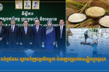 បង់ក្លាដែស គ្រោងទិញអង្ករពីកម្ពុជា បំពេញតម្រូវការស្បៀងក្នុងស្រុក